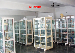 Department Image