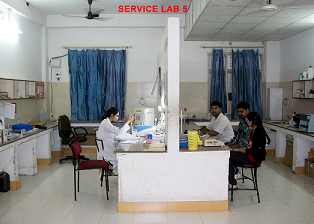 Department Image