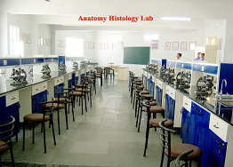 Department Image