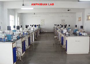 Department Image