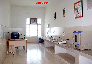 Department Image