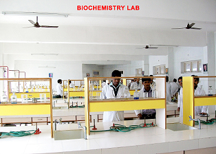 Department Image