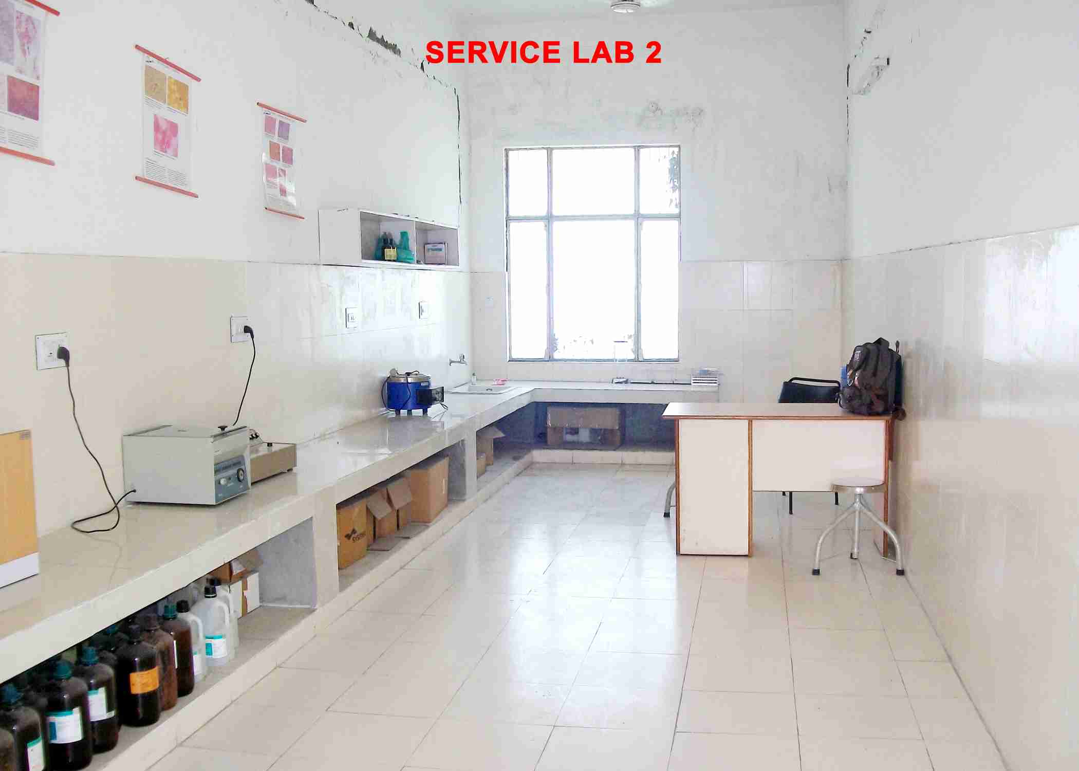 Pathology and Blood bank Department