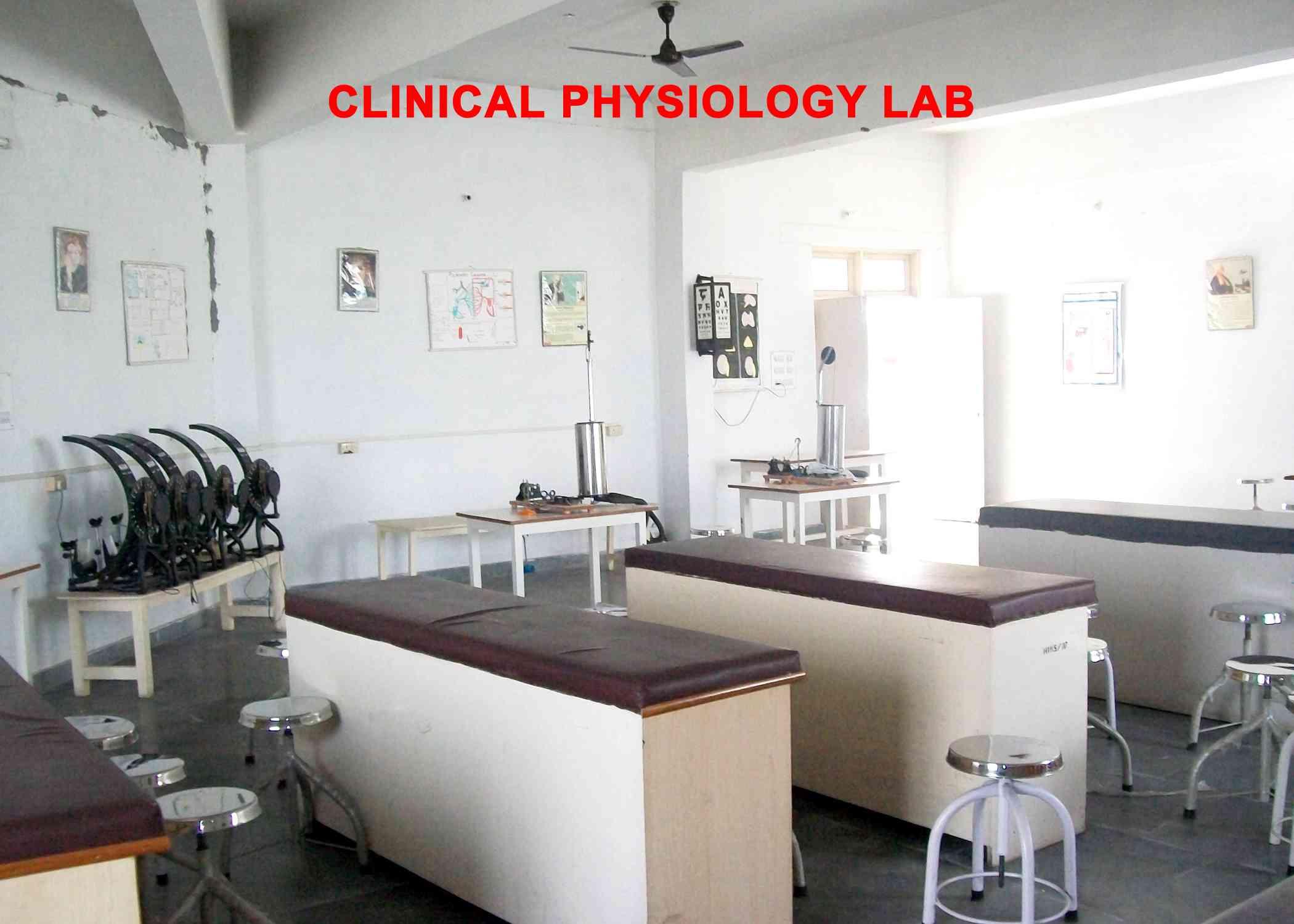 Physiology Department