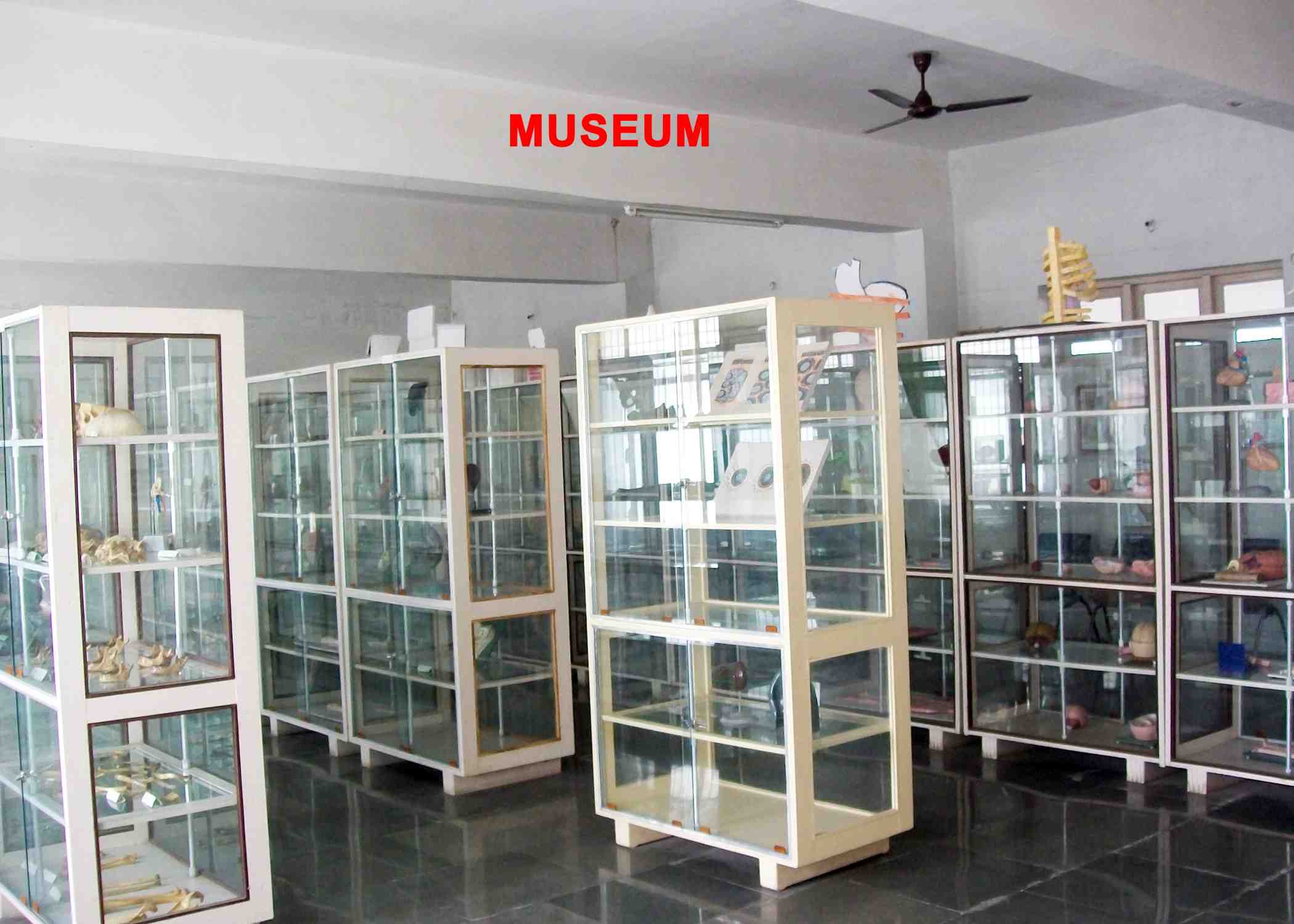 Anatomy Department