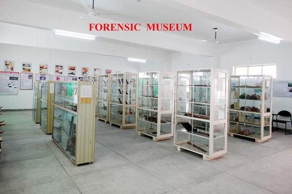 Museum
