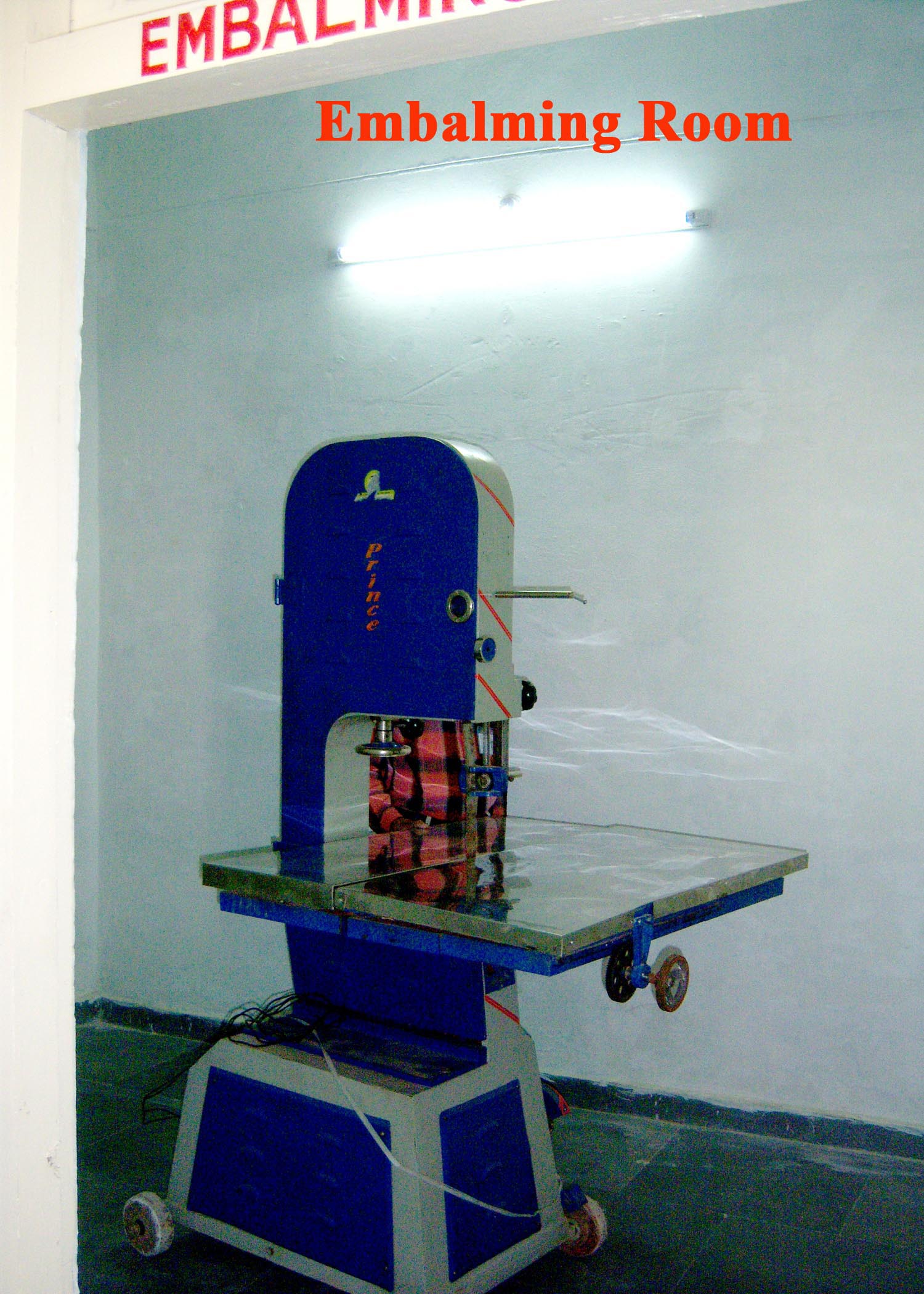 Anatomy Department