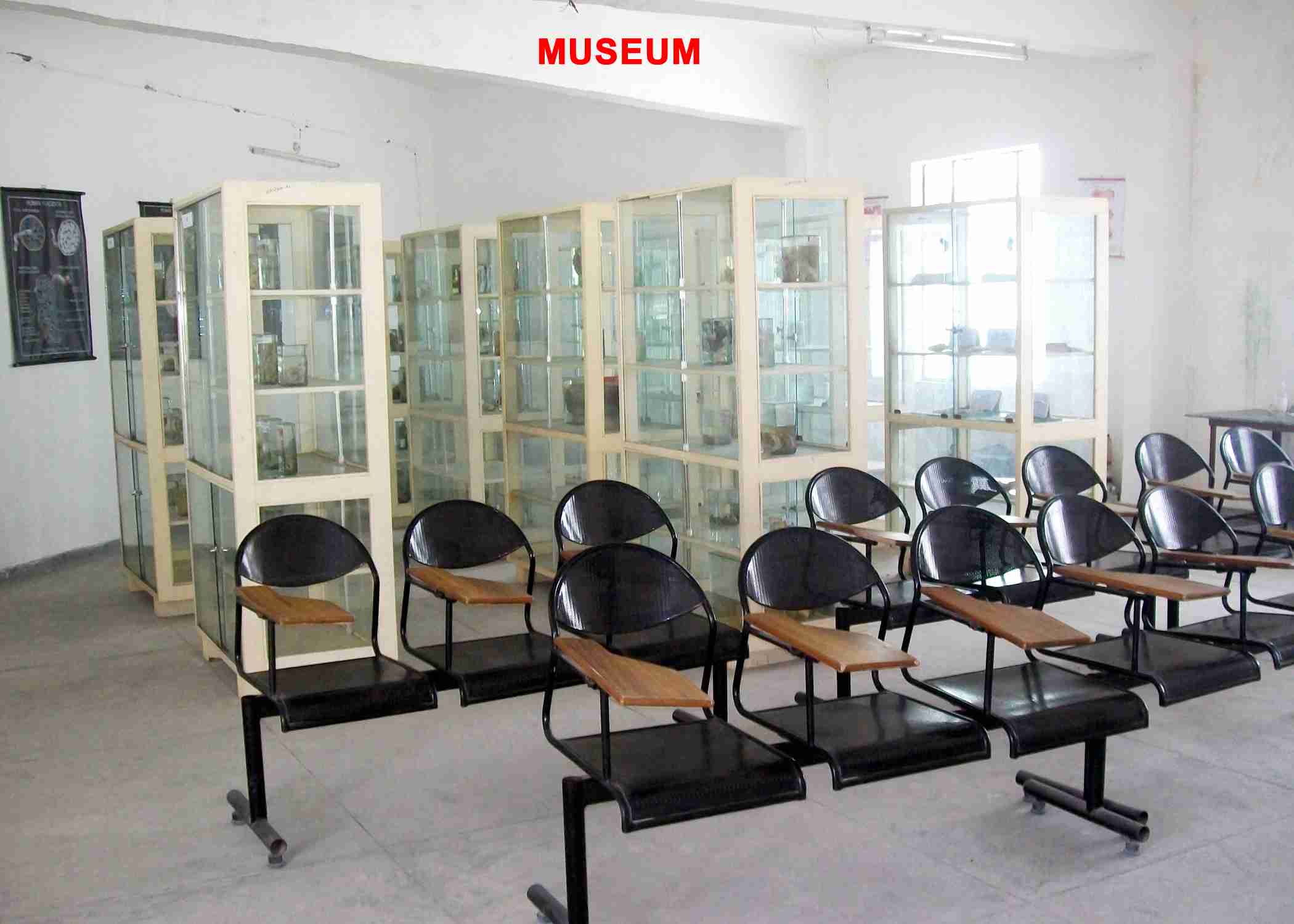Pathology and Blood bank Department