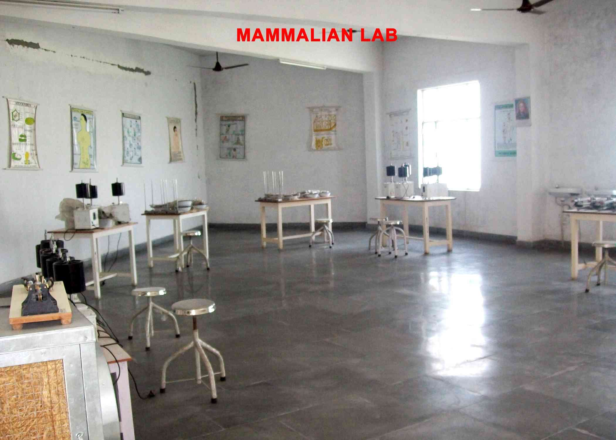 Physiology Department